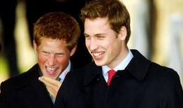 哈里王子最新爆料,揭秘权力斗争与真实情感