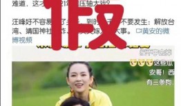 汪峰离婚爆料视频在线观看,独家视频揭秘婚姻破裂真相