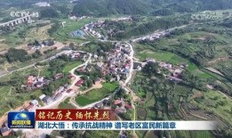 湖北大悟县最新爆料,揭秘神秘事件背后的真相