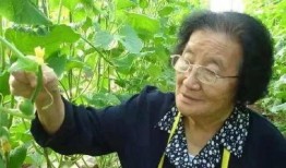 娱乐吃瓜酱不叠被子,揭秘明星不叠被子的秘密生活