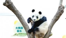 天津动物园爆料事件最新,揭秘动物福利与饲养真相