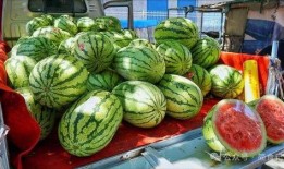 盐城网红吃瓜事件真相,真相背后引人深思