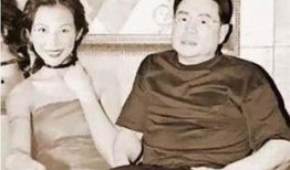 台湾爆料刘銮雄视频大全,台湾爆料视频大全深度解析