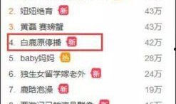 娱乐内幕吃瓜网址,跟随“娱乐内幕吃瓜网址”探寻明星幕后故事