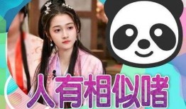 吃大瓜娱乐报,揭秘娱乐圈最新热点，带你畅游八卦海洋