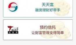 最新豪华版28卡包爆料,全新卡牌阵容与神秘机制大曝光