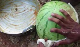 唐山网红吃瓜事件真相是真的吗,真相揭秘，还原事件始末