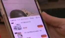 二狗爆料生活视频,揭秘生活点滴，带你走进真实生活现场