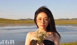 娱乐八卦每日爆料喻言,揭秘明星幕后故事，每日新鲜爆料不停歇