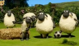 蛋仔最新小羊爆料视频