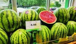 吃瓜小程序免费吃瓜,畅享夏日清凉！揭秘吃瓜小程序的神奇魅力