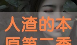 人渣在线观看,揭秘黑暗角落的生存法则