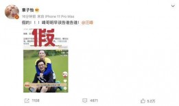 汪峰离婚爆料视频在线观看,独家视频揭秘婚姻破裂真相