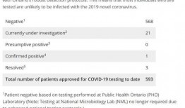 加拿大爆料病毒最新消息,揭秘病毒传播与防控措施