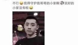 湖南明星爆料事件视频,揭秘娱乐圈惊人内幕