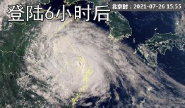 南京台风最新爆料,城市安全与民生保障紧急应对