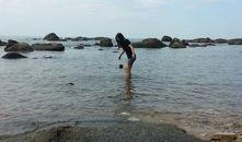 海角吃瓜真实视频下载免费,免费下载真实视频背后的故事