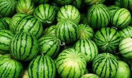 盐城网红吃瓜事件真相,真相背后引人深思