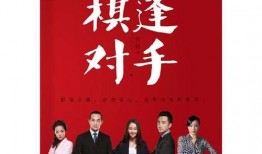 棋逢对手在线观看,巅峰对决，智慧与勇气的较量