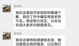中国电科后续爆料新闻,揭秘网络攻击事件真相与应对措施