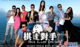 棋逢对手在线观看,巅峰对决，智慧与勇气的较量