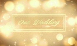 情感爆料素材视频大全,揭秘视频大全中的感人瞬间与真实故事