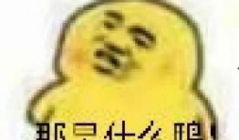 免费吃瓜表情包图片下载,轻松get潮流表情！