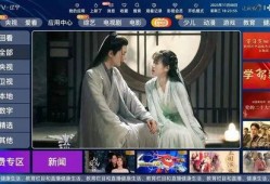 辽宁公共直播在线观看,实时掌握辽宁动态，畅享在线观看盛宴