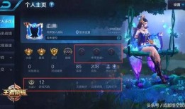 王者怎么看最新爆料信息,揭秘新英雄与版本更新亮点