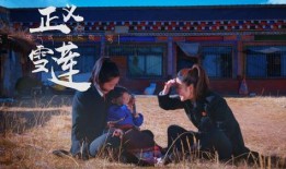 雪莲被爆料原视频,揭秘背后惊人真相