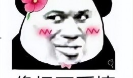 娱乐圈爆料公主号是什么,揭秘“公主号”背后的神秘故事