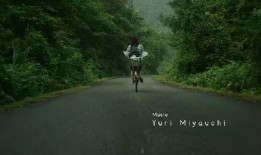 小森林在线观看免费观看,免费在线观看，共赴田园诗意之旅