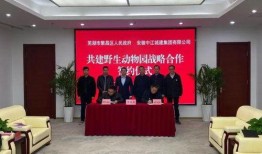 芜湖论坛最新爆料消息,揭秘神秘事件背后的真相！