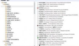新闻爆料素材收集表,如何捕捉热点事件背后的真相