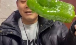 镇平网红吃瓜事件视频最新,揭秘背后真相与网络舆论风暴