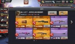 黑市武器爆料视频播放