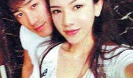 林峰老婆爆料视频大全,揭秘明星夫妻背后的故事