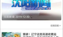 辽宁公共直播在线观看,实时掌握辽宁动态，畅享在线观看盛宴