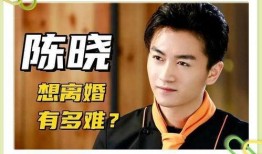 陈晓直播爆料视频,独家爆料背后的故事