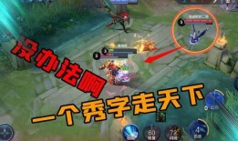 老鸟王者爆料视频大全下载,视频大全下载攻略全解析