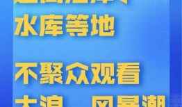 网友爆料杭州日报视频,网友爆料惊人一幕