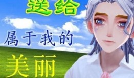 哈利时装最新爆料视频,揭秘时尚界神秘面纱