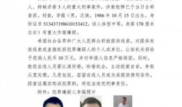 四川枪击知情人爆料视频,知情人独家爆料视频揭露惊人真相