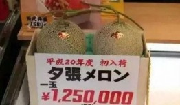 吃大瓜娱乐报,揭秘娱乐圈最新热点，带你畅游八卦海洋