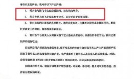 陈飞爆料视频大全集,揭秘背后真相与精彩瞬间