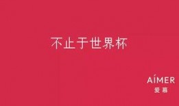 世界杯娱乐圈爆料文案