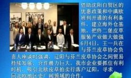 最新辽阳爆料新闻事件,神秘事件引发社会关注