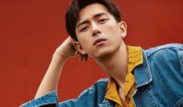 独家爆料李现视频大全最新,独家爆料，精彩瞬间大盘点