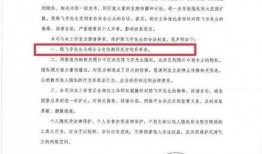 陈飞爆料视频大全集,揭秘背后真相与精彩瞬间