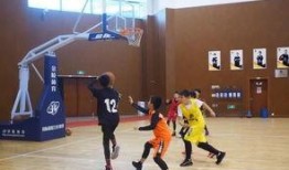 篮球大咖爆料视频在线观看,揭秘篮球界幕后故事